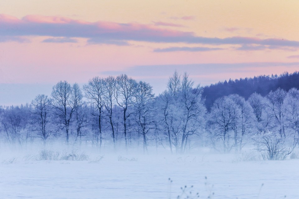 AdobeStock_184136662-960x640